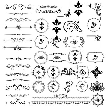 Ornate vintage frames and scroll elements. Set of text delimiters. Decorative vintage frames and borders set. Vector design. flower ornament.