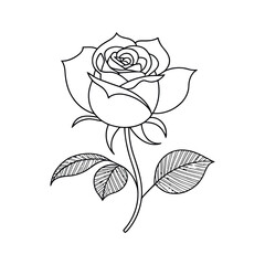 Poster - Elegant Rose Line Art Illustration with Detailed Petals and Leaves Perfect for Coloring Books Tattoo Designs and Botanical Illustrations on a White Background
