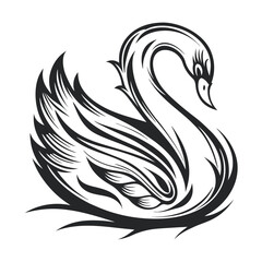 Poster - Elegant Black and White Swan Illustration: A Detailed Vector Image on White                                                                           