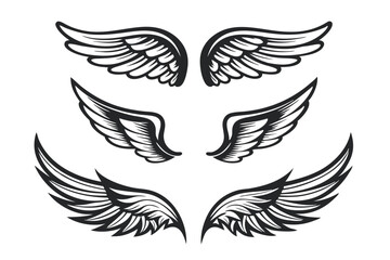 Poster - Stylized Black and White Vector Wings Collection for Design Elements and Creative Projects, isolated on white.                                        