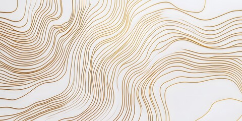 Fototapete - White background with golden lines tiles, elegant style background, abstract design, 