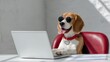 © Nataliia_Trushchenko - Dog wearing sunglasses sits on a red chair in front of a laptop. The dog appears to be enjoying its time on the computer, possibly watching a video or playing a game