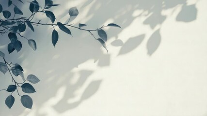 Aufkleber - Black and white photograph of leaves arranged on a wall, perfect for use in interior design or art projects