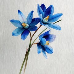 Poster - botanical watercolor illustration glory of the snow blue petals Blue flowers with delicate petals on a textured background. white background