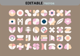 Poster - Collection of editable abstract geometric shapes and floral elements