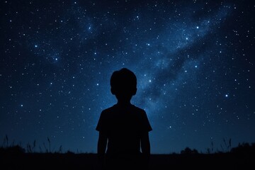 Wall Mural - rear view silhouette of a young boy gazing up at a dazzling starry night sky filled with twinkling s