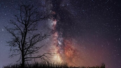 Wall Mural - beautiful night sky time lapse with milky way galaxy over trees silhouette. night tight landscape st
