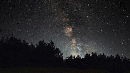 Wall Mural - beautiful night sky time lapse with milky way galaxy over forest. night tight landscape starry sky.