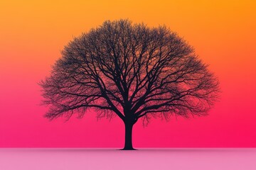 Poster - Silhouette of a large leafless tree against an orange and pink sky at sunset during a peaceful evening in nature
