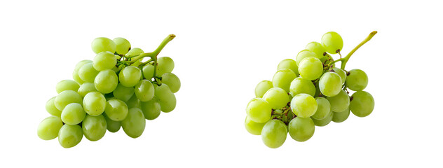 Poster - Two bunches of green grapes against a white background.