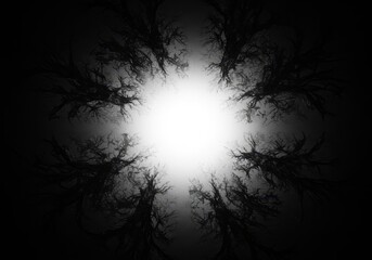 Poster - Monochrome image of trees silhouetted against a bright light source