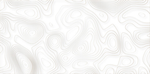 Poster - Abstract white golden Topographic line map background shadows. Contour elevation topographic and textured Background Modern design with White background with topographic wavy pate for decoration.	