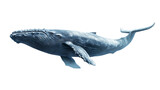 A large blue whale swimming majestically through the ocean,Transparent background, PNG file