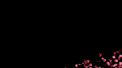 Red rose petals object reveal element on transparent background (alpha)