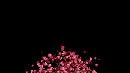 Red rose petals object reveal element on transparent background (alpha)