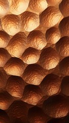 Poster - Honeycomb structure showcasing hexagonal patterns and textures in warm tones under natural light