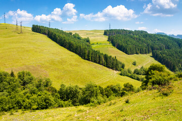 Wall Mural - tranquil countryside landscape with forest on the hill in summer. green environment with tree on mou