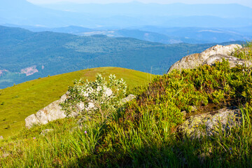 Wall Mural - pile of rock boulder on the grassy slope. carpathian mountain landscape blurred in the distance. sun