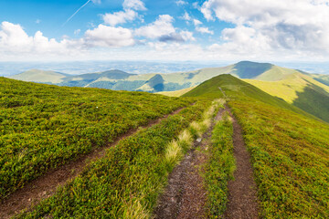 Wall Mural - trail through carpathian mountain range in summer. alpine landscape with path and steep grassy slope