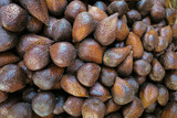 A close-up photo of a group of salak fruit or snake fruit from a traditional market, with their brown textured skin. Close Up of Salak Fruits texture material background.