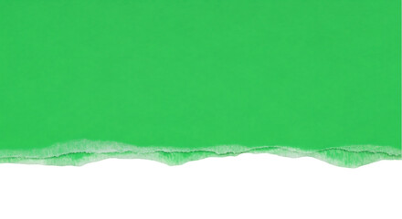 Leinwandbilder - Torn Green Paper Texture with Irregular Edge on Black Background
