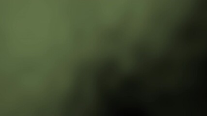 Poster - a soft, out-of-focus green gradient background with no distinguishable objects or features, abstract