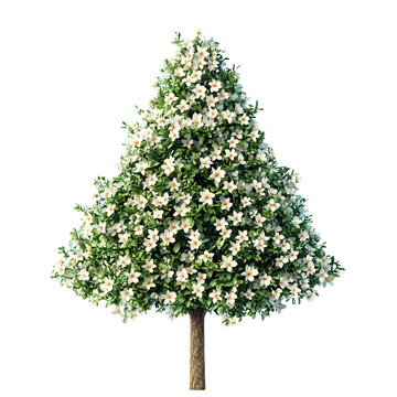A digitally rendered image of a stylized Christmas tree,  shaped perfectly and adorned with numerous small, white flowers instead of traditional pine needles, set against a black background