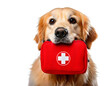 © MDMrl - a golden retriever holding a red first aid kit in its mouth  png
