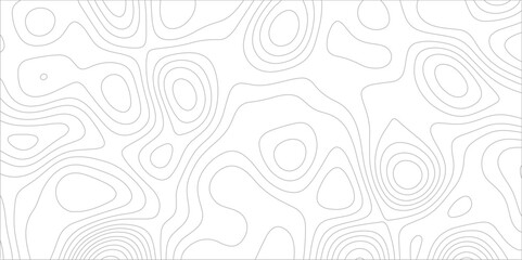 Poster - Abstract background with topographic map white background. The stylized height of the topographic map contour in black lines. gradient multicolor wave curve lines banner background design.