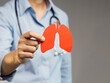 © meeboonstudio - Doctor holding red lungs cutout, symbolizing respiratory health, lung care, and awareness.