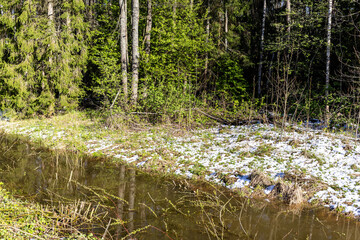 Wall Mural - riverbank with freshly fallen snow on green grass