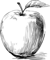 Poster - Detailed black and white sketch of an apple with leaf, drawing art concept. Vector illustration