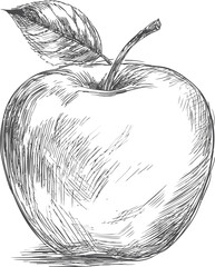 Poster - Hand-drawn sketch of an apple with a single leaf. Vector illustration
