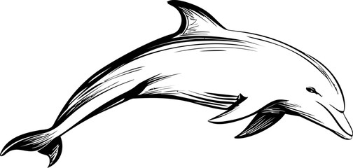 Poster - Black and white line drawing of a dolphin in motion, illustrative design. Vector illustration