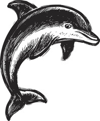 Poster - Black and white line drawing of a dolphin sketch with artistic texture. Vector illustration