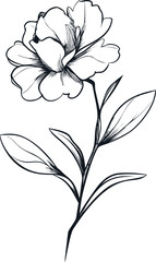 Poster - Black and white outline of a blooming flower with leaves, botanical sketch. Vector illustration