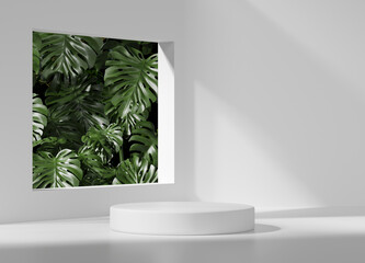 Poster - 3D rendering white podium with tropical plant monstera product presentation background	
