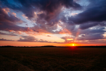 Poster - Gorgeous sunset over an open field with colorful clouds in the dark evening sky.