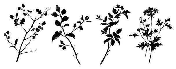 Fototapete - Botanical Silhouette Collection A Set of Four Unique Plant Illustrations on a Transparent Backdrop for Creative Design Projects and Artistic Compositions