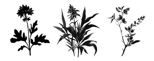 Fototapete - Botanical Black and White Trio A Collection of Three Distinct Plant Silhouettes on a Transparent Background for Artistic and Design Applications