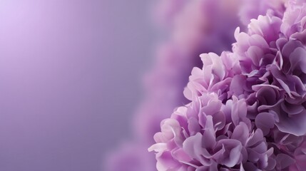 Poster - Delicate lilac flowers blend seamlessly into a soft background, featuring a gentle vignette effect. The soothing colors create a tranquil atmosphere, ideal for various artistic uses