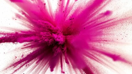 Poster - Vibrant Explosion of Magenta Color Powder Against White Background for Creative Projects