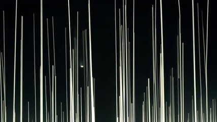 Poster - Sparkling Light Streaks Against Dark Background for Abstract Art and Design Projects