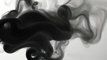 Poster - Abstract fluid art design with black and grey swirling ink on a white background