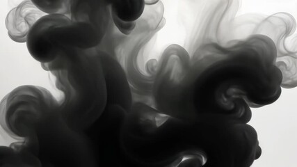 Poster - Black Ink Swirling in Water Creating Abstract Patterns and Shapes on a White Background