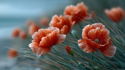 Poster - Bright red poppies sway gracefully in lush green grass, illuminated by sunlight in a calm landscape. The gentle breeze adds movement to the scene, showcasing nature's beauty