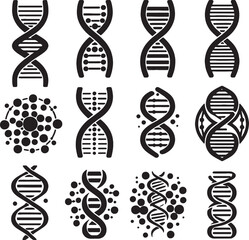 DNA set silhouette line art design stock photos premium quality