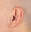 © Antonio Gravante - Close up of man ear with hair growing on it and short shaved hair on head
