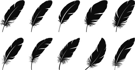 Poster - Ten black feathers arranged in two rows on a white background in a simple and clean illustration style