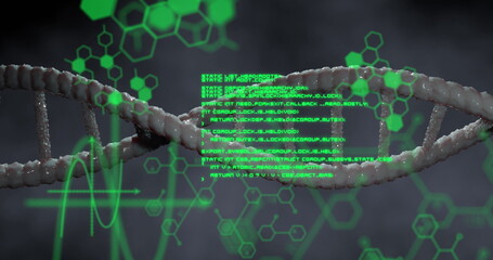 Poster - Image of dna rotating over chemical formulas and data processing on grey background